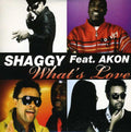 Shaggy - What's Love