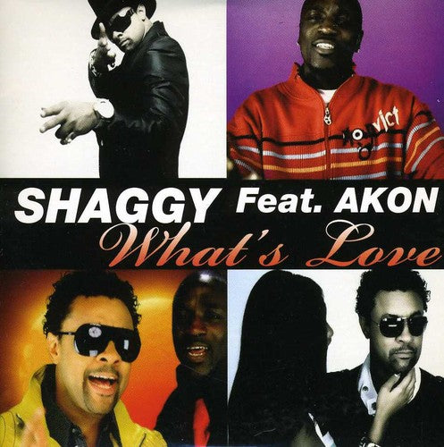 Shaggy - What's Love