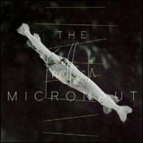 Micronaut - Friedfisch - Vinyl Record