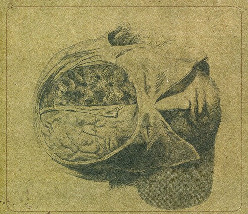 Farsot - Insects - Music CD