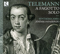 Telemann / Syntagma Amici / Zelenka / Schafrath - For Solo Bassoon - Music CD