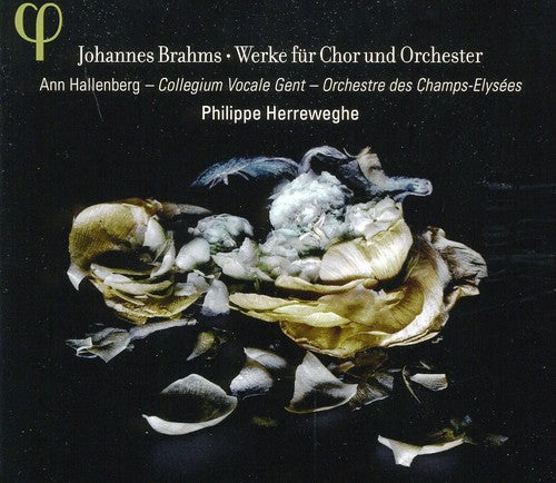 Brahms / Hallenberg / Herreweghe - Works For Chorus & Orchestra - Music CD