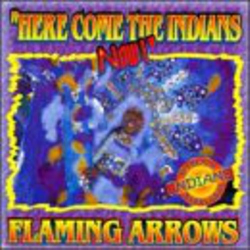 Flaming Arrows - Here Come The Indians - Music CD