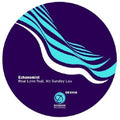 Echonomist - Real Love - Vinyl Record
