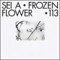 Sei A - Frozen Flower - Vinyl Record