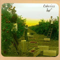 Calexico - Spoke - Music CD