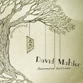 Mahler,david - Greenwood - Music CD
