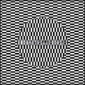 Carter Tutti Void - Transverse - Music CD