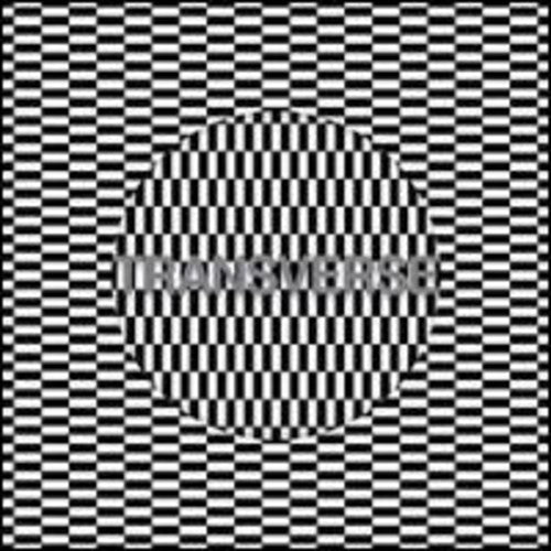 Carter Tutti Void - Transverse - Music CD