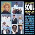Motorcity Soul Sampler 2 - Motown Artists-80's Recordings - Vinyl Record