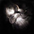 Nedry - In A Dim Light - Vinyl Record