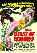 Beast Of Borneo - Beast Of Borneo - DVD