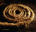 Coil / Nine Inch Nails - Recoiled - Music CD