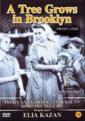 Tree Grows In Brooklyn (1945) - Tree Grows In Brooklyn (1945) - DVD