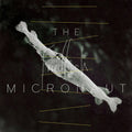 Micronaut - Friedfisch - Vinyl Record