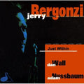 Bergonzi,jerry - Just Within - Music CD