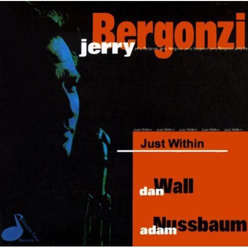 Bergonzi,jerry - Just Within - Music CD