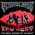Fuzztones - Raw Heat The In Heat Demos - Vinyl Record