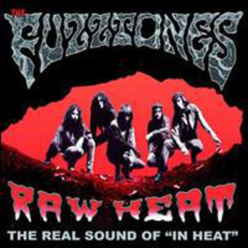 Fuzztones - Raw Heat The In Heat Demos - Vinyl Record