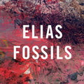 Elias - Fossils - Music CD