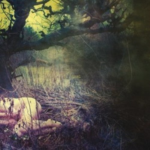 Final - Apple Never Falls Far - Vinyl Record