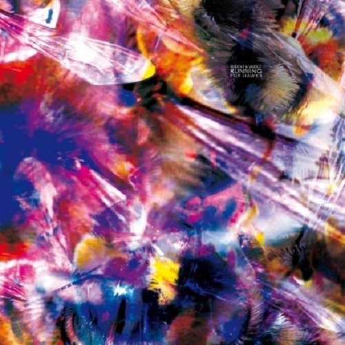 Viudez & Rudolf - Running For Hawks - Vinyl Record