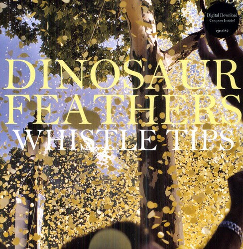Dinosaur Feathers - Whistle Tips - Vinyl Record