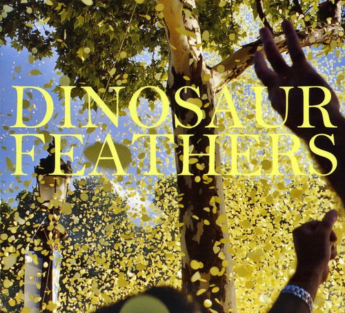 Dinosaur Feathers - Whistle Tips - Music CD