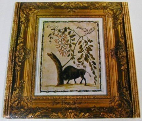 Soft Shoe - For Those Alone - Vinyl Record