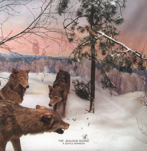 Jealous Sound - Gentle Reminder - Vinyl Record