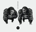 Mario & Vidis - Changed - Music CD
