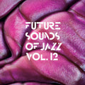 Future Sounds Of Jazz 12 / Various - Future Sounds Of Jazz 12 / Various - Vinyl Record