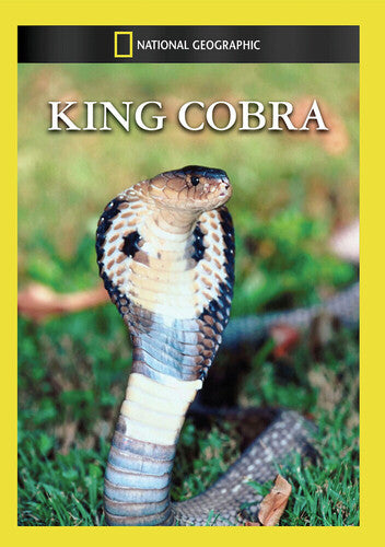 King Cobra - King Cobra - DVD