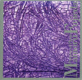 Fujieda,mamoru - Patterns Of Plants - Music CD