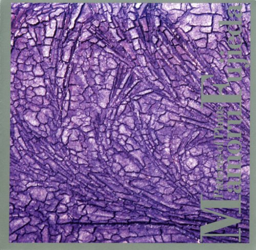 Fujieda,mamoru - Patterns Of Plants - Music CD