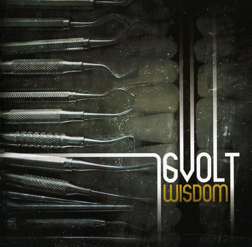 16volt - Wisdom - Music CD