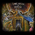 Nelson,lukas / Promise Of The Real - Wasted - Vinyl Record