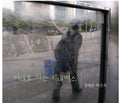 Jeong,tae Chun / Bak,eun Ok - Buses Are Leaving For The Sea - Music CD