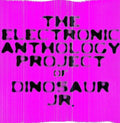 Electronic Anthology Project - Electronic Anthology Project Of Dinosaur Jr - Vinyl Record