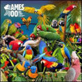 Jameszoo - Guanyin Psittacines - Vinyl Record