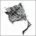 Split Cranium - 7-sceptres To Rus - Vinyl Record