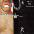 Guided By Voices - Jon The Croc - Vinyl Record