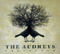 Audreys - Collected - Music CD