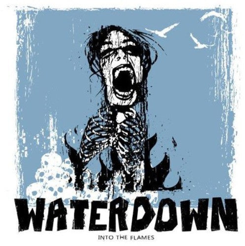 Waterdown - Into The Flames - Vinyl Record