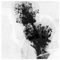 Historics - Infinidelity Pt 2 - Vinyl Record