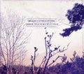 Bains Iii,lee & Glory Fires - There Is A Bomb In Gilead - Music CD