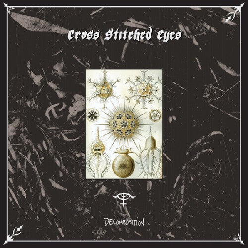 Cross Stitched Eyes - Decomposition - Vinyl Record