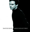 Rice,david - Greenelectric - Music CD