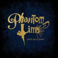 Phantom Limb - Don't Say A Word - Vinyl Record