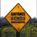 Gaitanes - Monte Adentro - Music CD